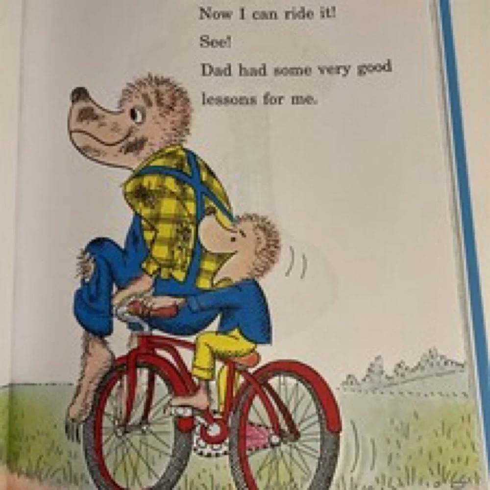 The Big Book of Berenstain Bears Beginner Books Children Stories Gift Toy Read - Picture 5 of 8